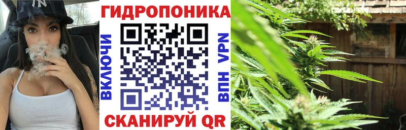 ОМГ ОМГ ТОР  Оленегорск  Марихуана Bruce Banner 
